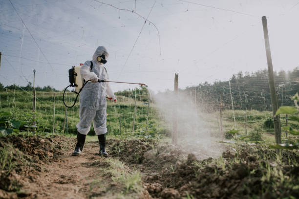 Best Mosquito Control Services  in Riverdale, UT