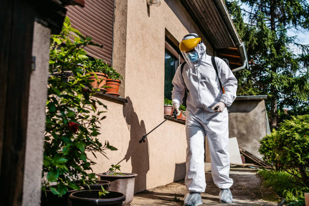Best Flea Control Services  in Riverdale, UT