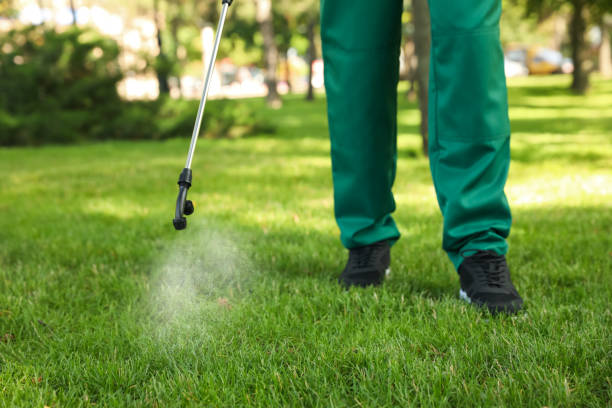 Best Bed Bug Extermination  in Riverdale, UT