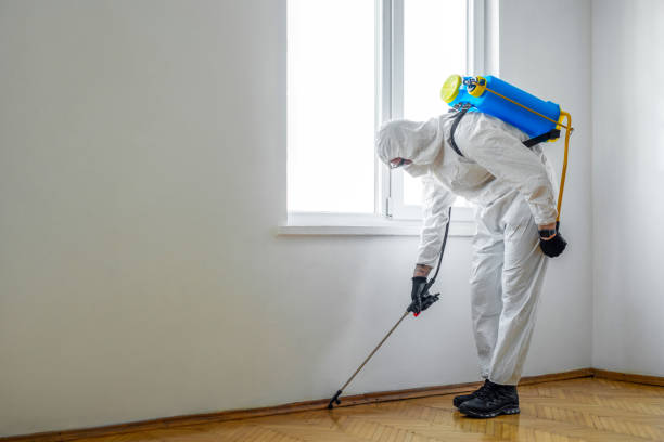 Best Termite Control Services  in Riverdale, UT