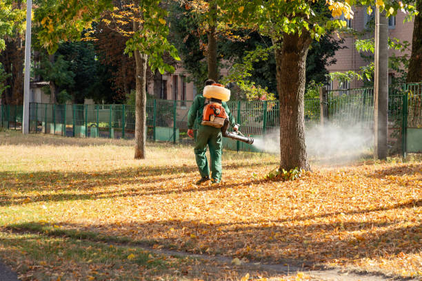 Best Ant Control Services  in Riverdale, UT