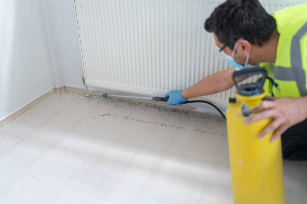 Best Pest Control for Businesses  in Riverdale, UT