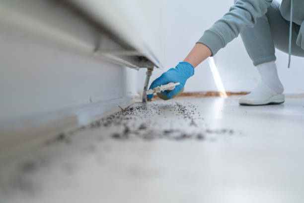 Best Local Pest Control Services  in Riverdale, UT